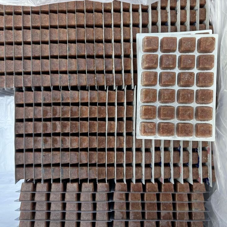 Frozen Brine Shrimp cube